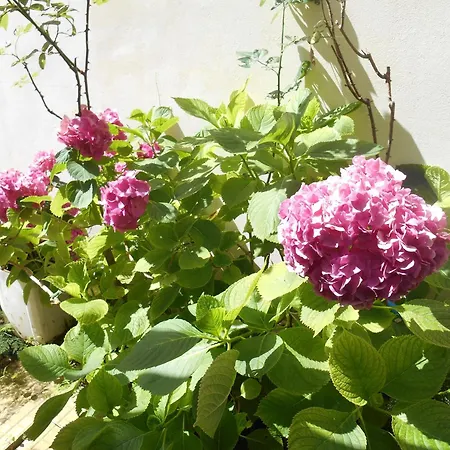 Milos * Áyios Nikítas