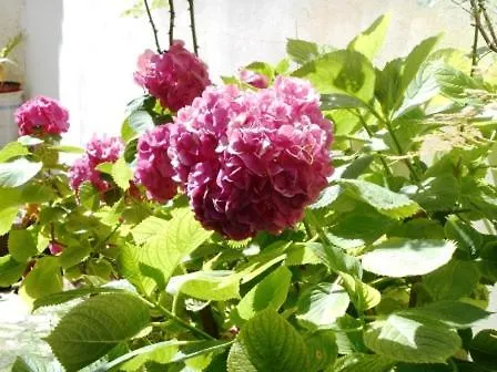 Milos * Áyios Nikítas